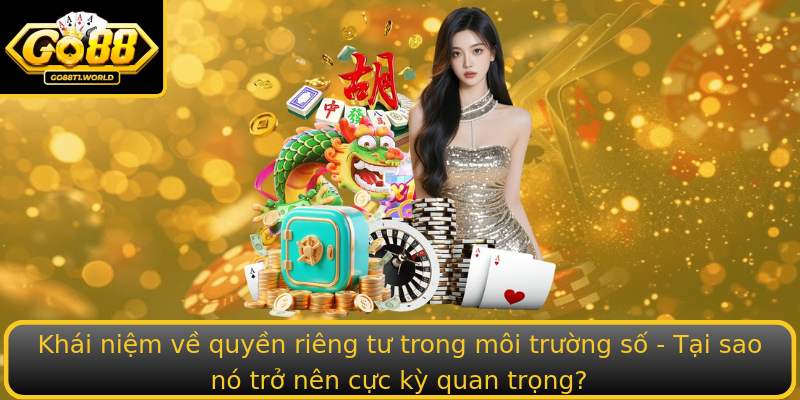 Khái niệm về quyền riêng tư trong môi trường số - Tại sao nó trở nên cực kỳ quan trọng?